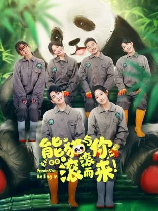 熊貓與你，滾滾而來！