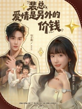 裴總，愛情是另外的價錢